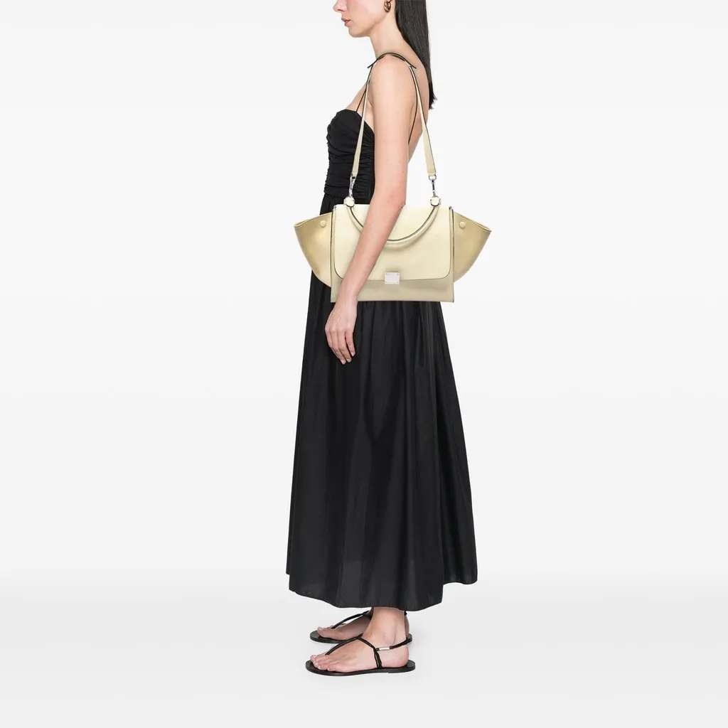 Celine Medium Bicolor Calfskin and Suede | Libas Collective