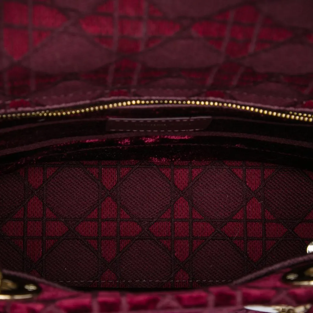 Dior Medium Embroidered Velvet Cannage Lady D Lite Red Very good - Model View