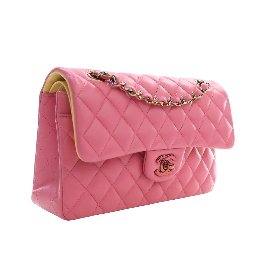 Chanel Small Classic Lambskin Rainbow Hardware Double Flap Pink Leather Very good - Back View