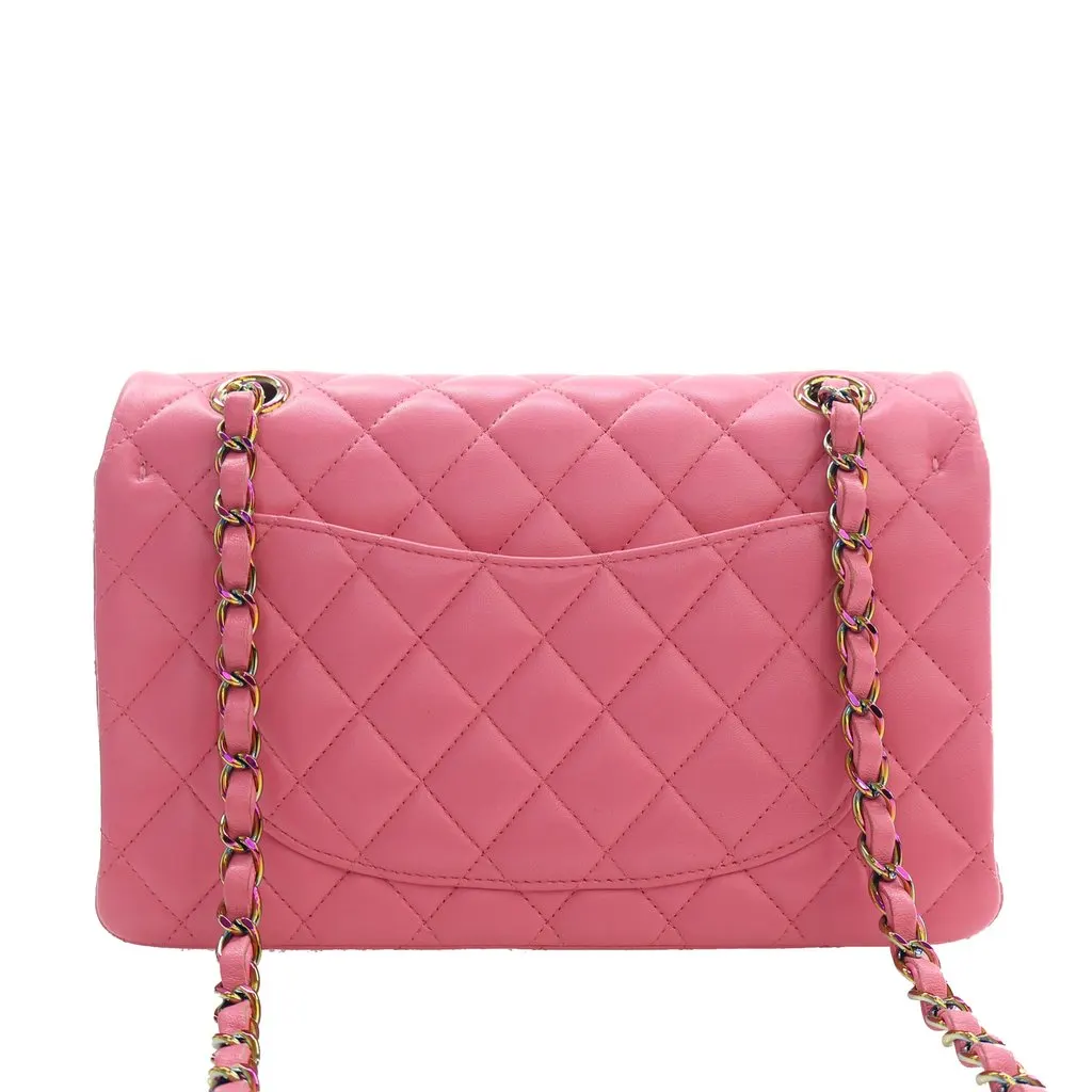 Chanel Small Classic Lambskin Rainbow Hardware Double Flap Pink Leather Very good - Model View