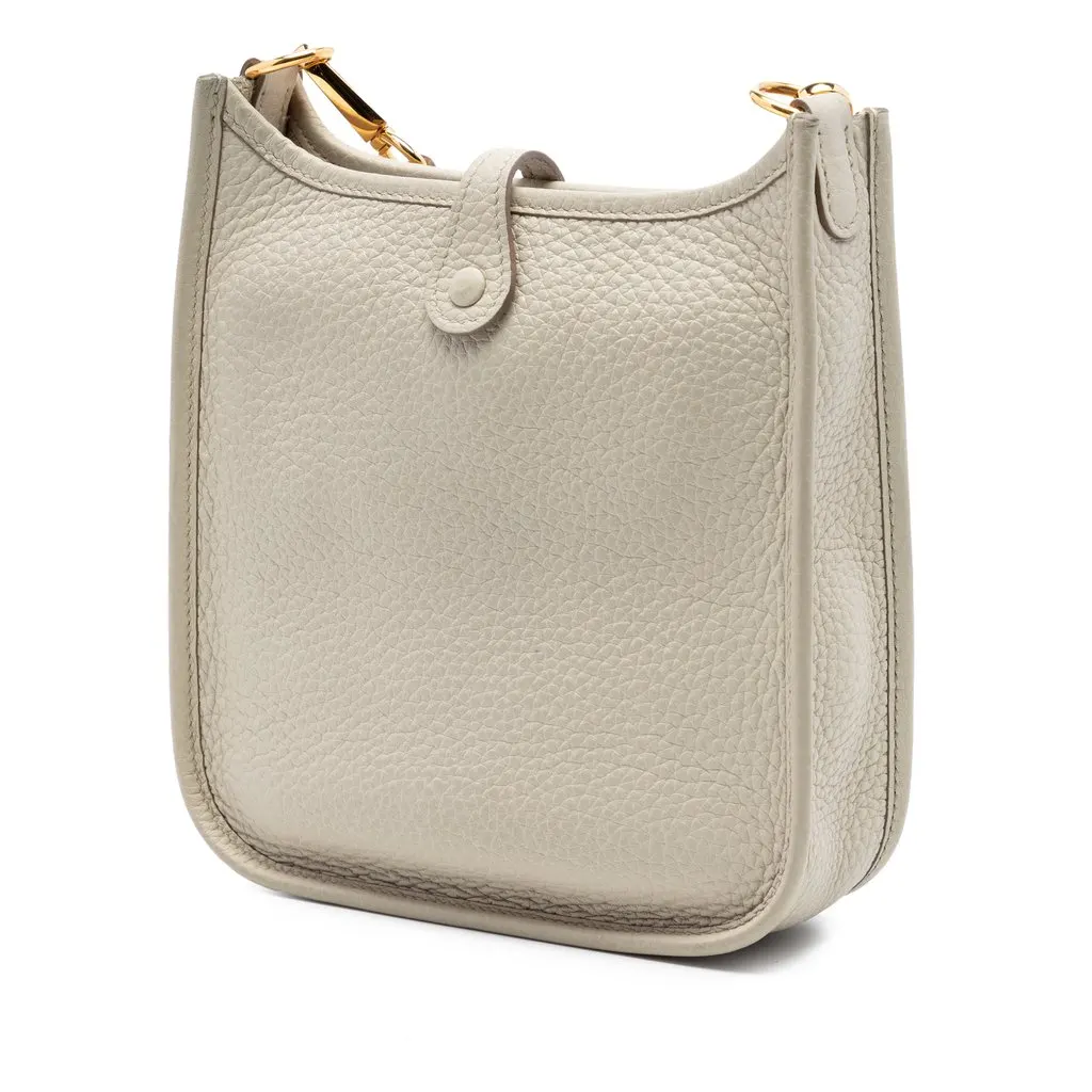 Hermès Clemence Evelyne I TPM 16 MultiColor Leather Very good - Back View