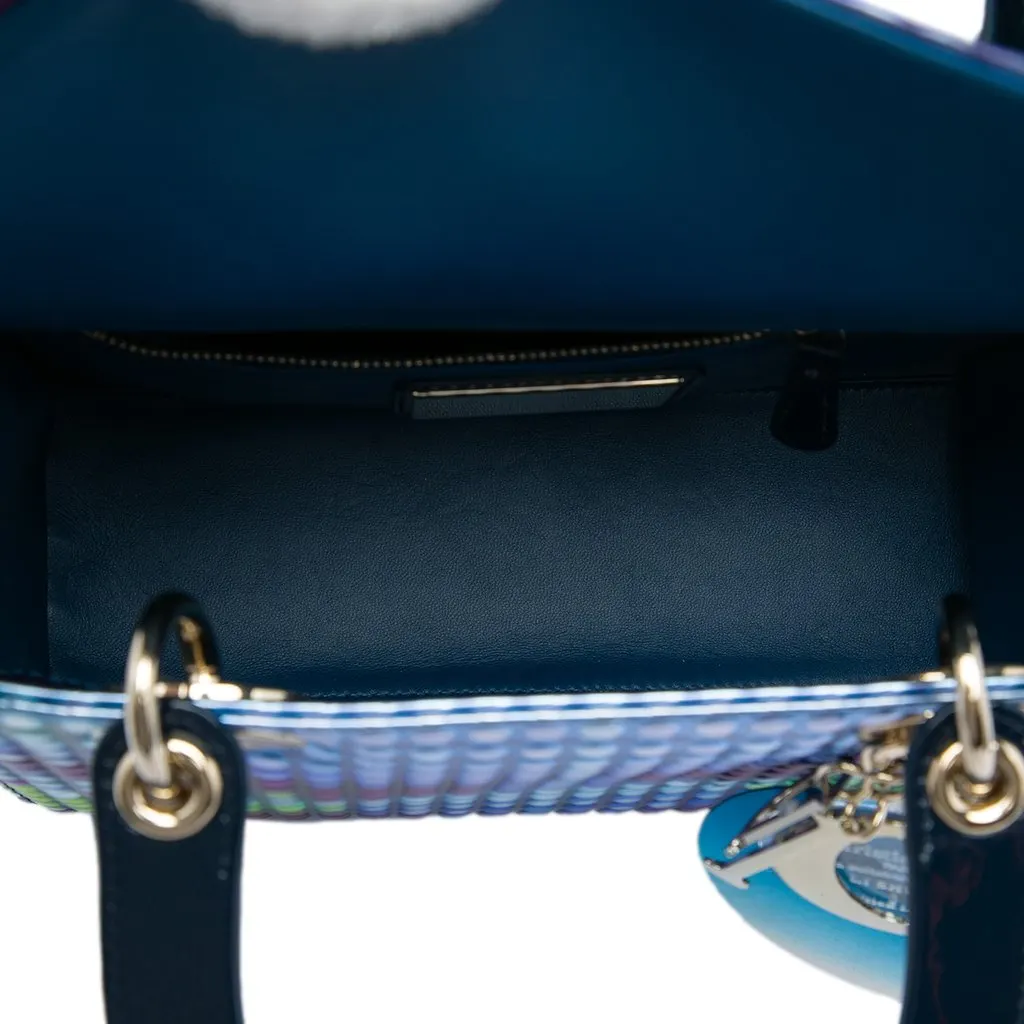 Dior Dior Lady Art No 3 Edition Li Shurui Medium Calfskin Printed and Studded Lady Dior Blue Leather Very good - Model View