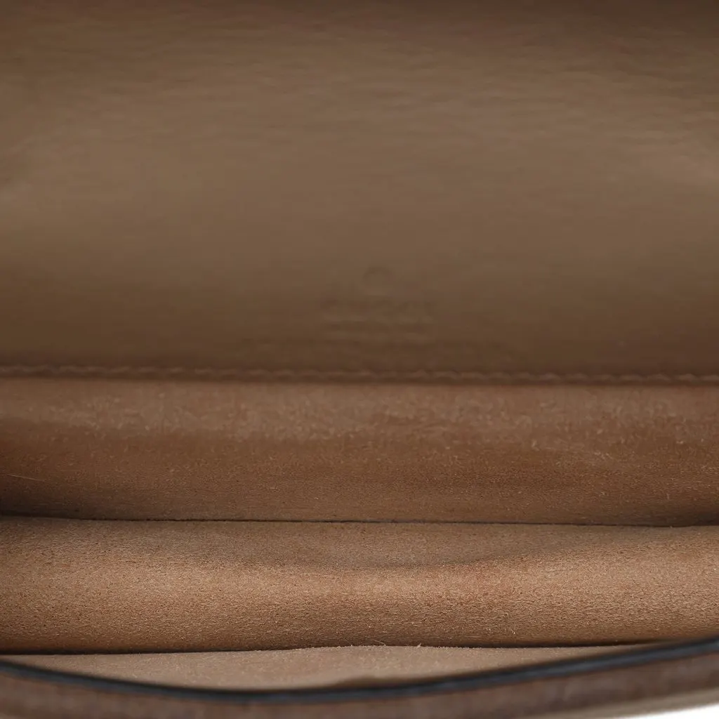 Gucci Mini GG Supreme Dionysus Crossbody Beige Very good - Model View