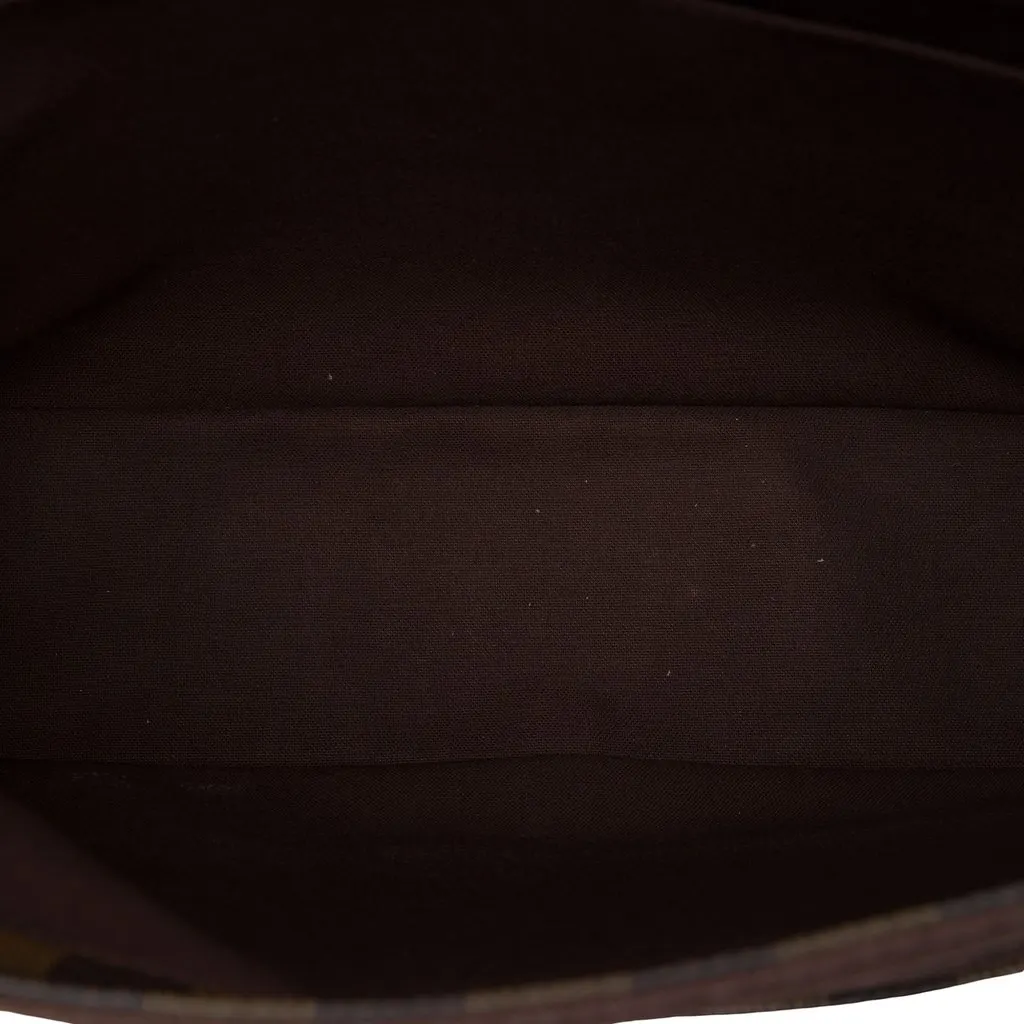 Louis Vuitton Damier Ebene Bastille Brown Canvas Good - Model View