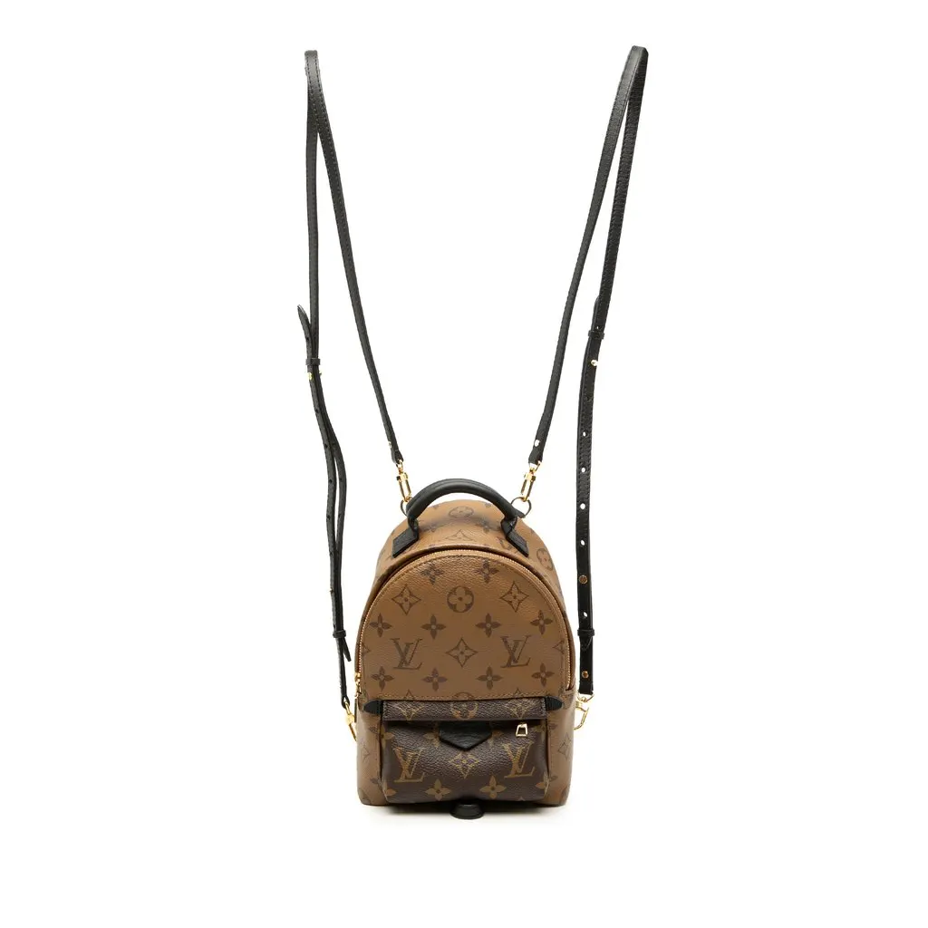 Louis Vuitton Monogram Reverse Mini Palm Springs Brown Very good - Front View