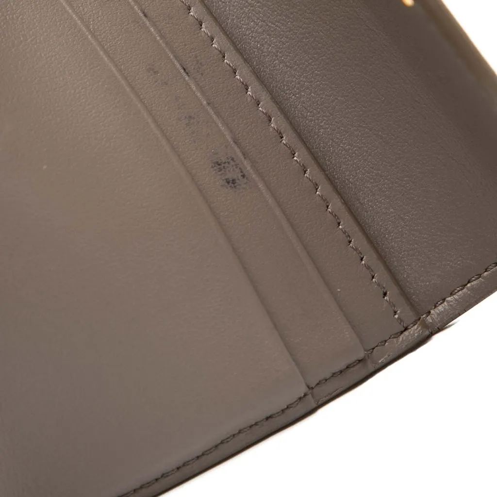 Celine Shiny Calfskin Triomphe Flap Small Wallet Brown Leather Good - Model View
