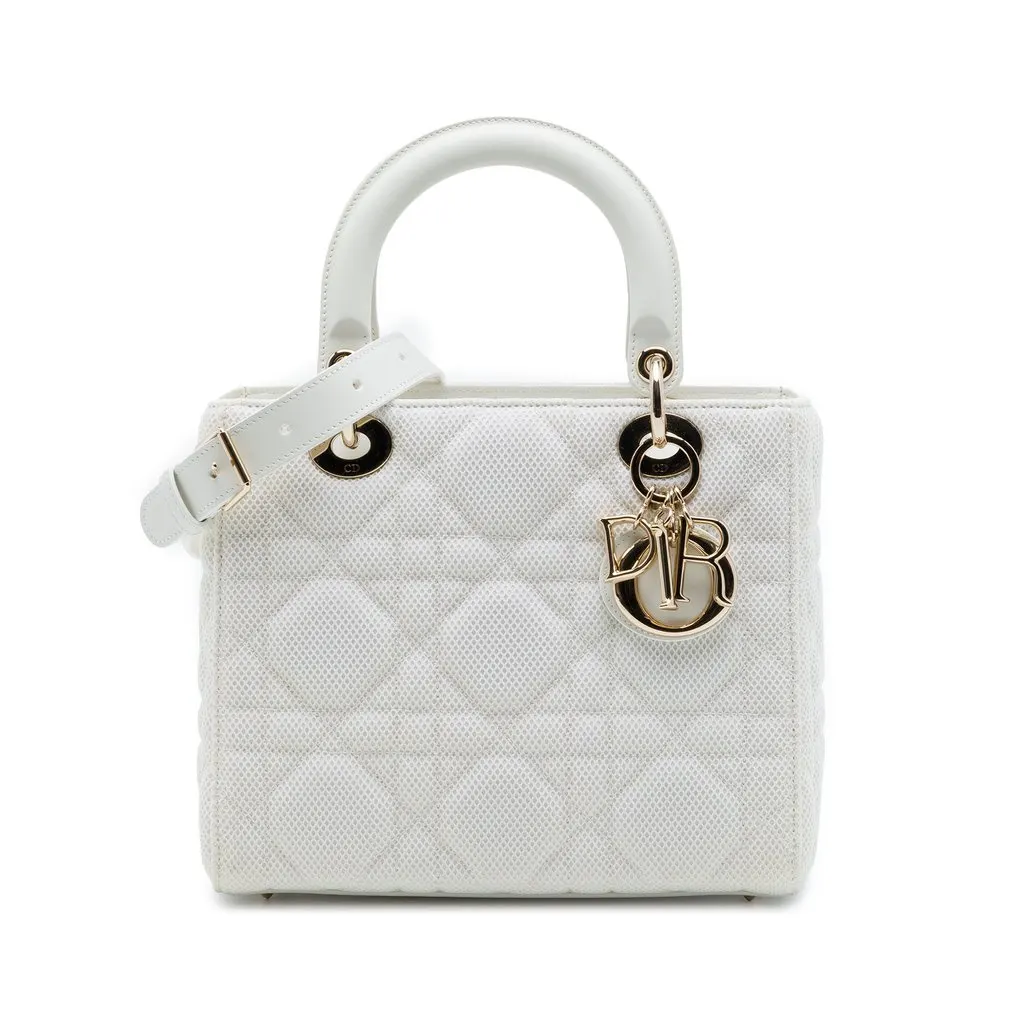 Dior متوسطة Mesh كاناج ليدي ديور