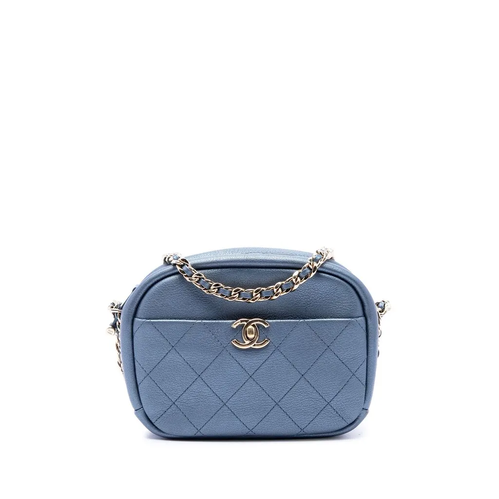 Chanel Small Quilted Metallic Goatskin Casual Trip Camera Bag