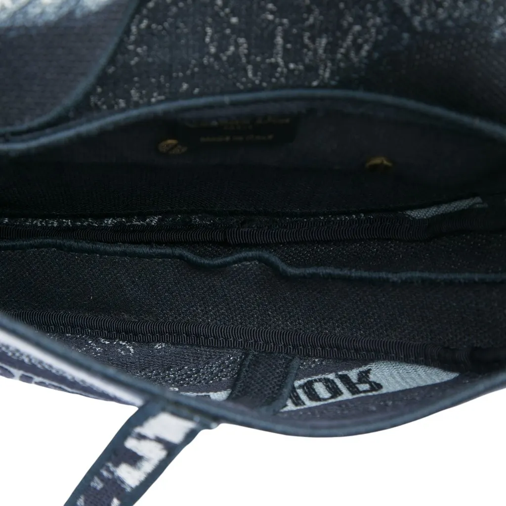 Dior Canvas Embroidered Tie Dye Saddle Bag Blue Very good - Model View