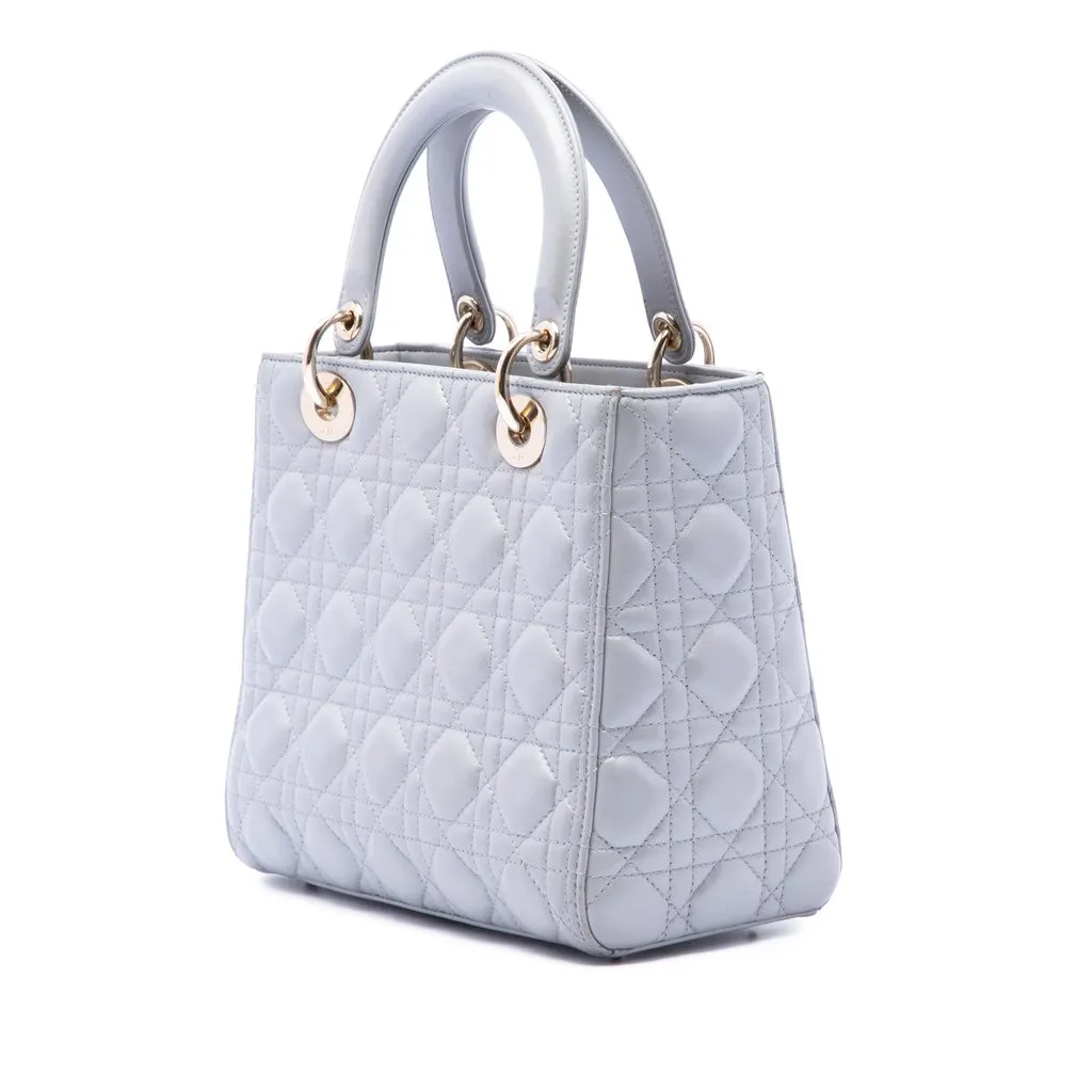 Dior Medium Pearlescent Lambskin Cannage Lady Dior MultiColor Leather Very good - Back View