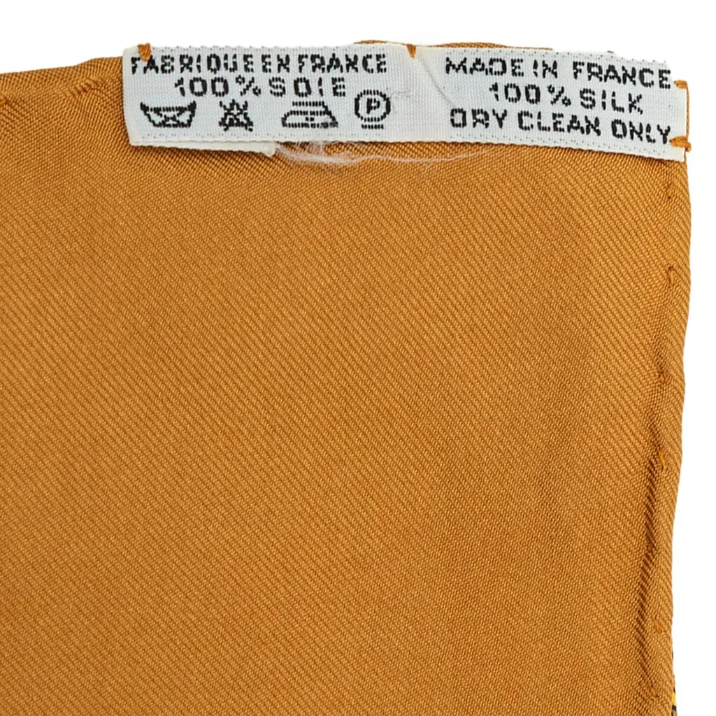 Hermès Art des Steppes Silk Scarf Brown Silk Very good - Model View