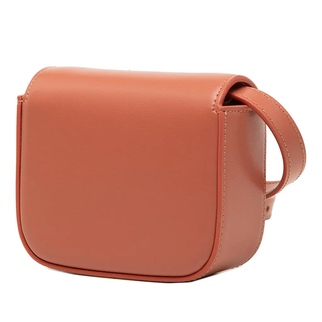 Celine Mini Shiny Calfskin Triomphe Crossbody Brown Leather Very good - Back View