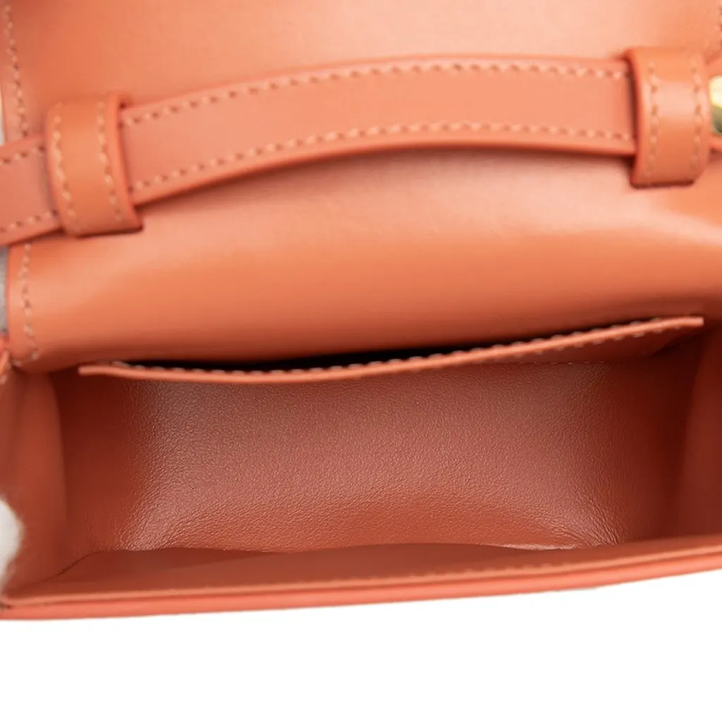 Celine Mini Shiny Calfskin Triomphe Crossbody Brown Leather Very good - Model View