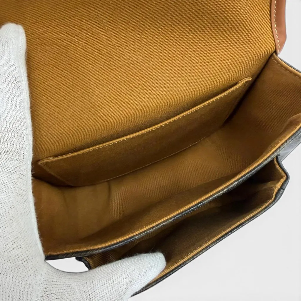 Celine Medium Triomphe Coated Canvas Folco Crossbody Brown Very good - Model View