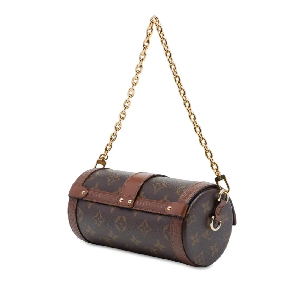 Louis Vuitton Monogram Papillon Trunk Brown Canvas Very good - Back View