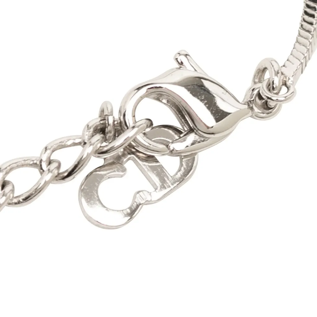 Dior Brass Enamel Oblique Trotter Pendant Necklace Silver Metal Very good - Box View