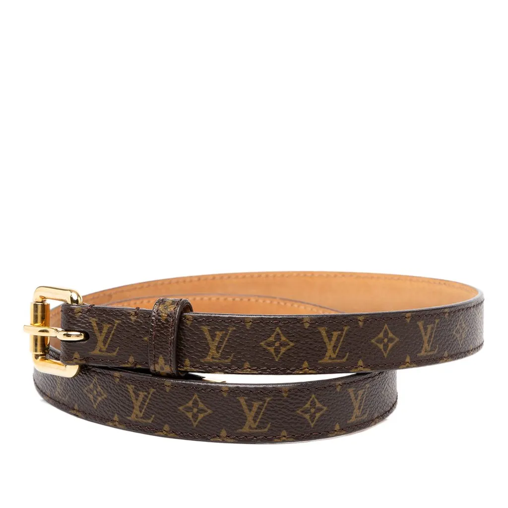 Louis Vuitton Monogram Ellipse Belt Brown Canvas Very good - Back View
