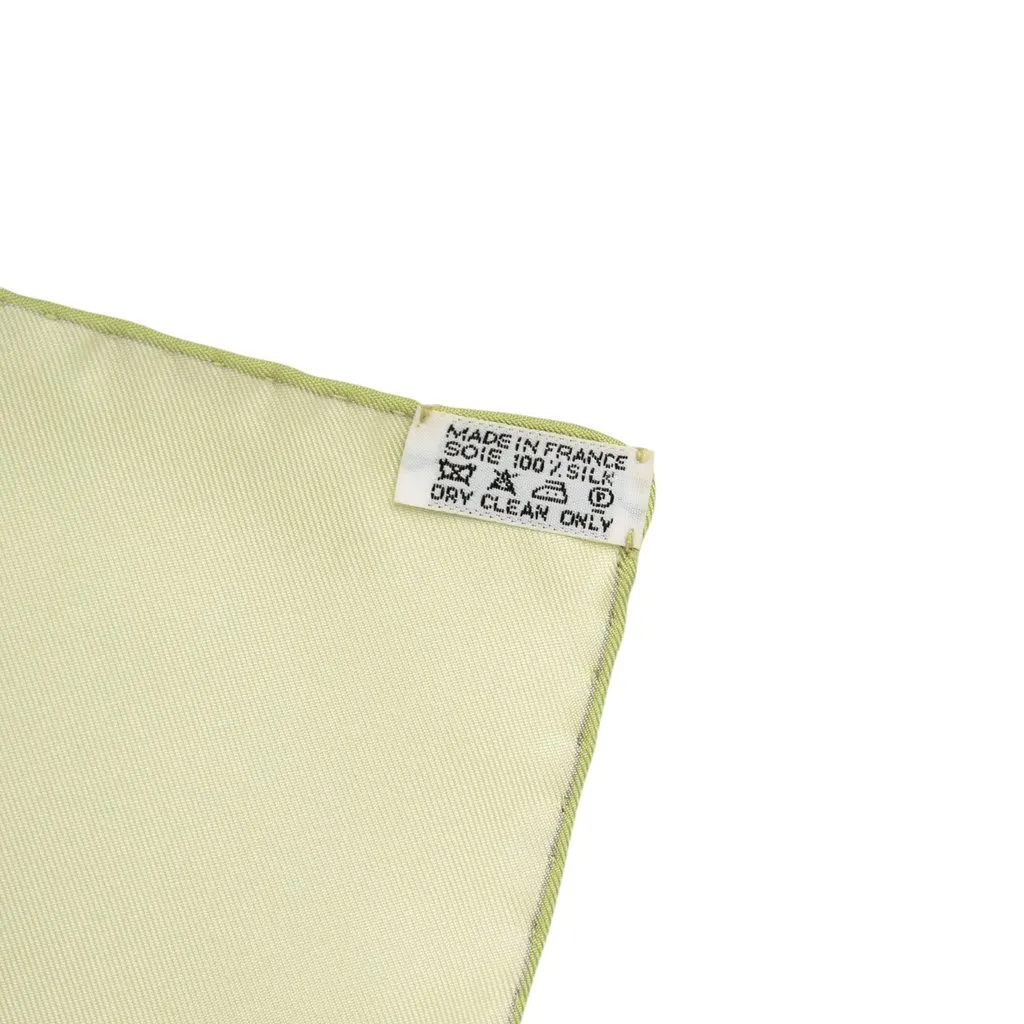 Hermès Fleurs de Fuchsia Silk Scarf 90 Green Silk Good - Model View