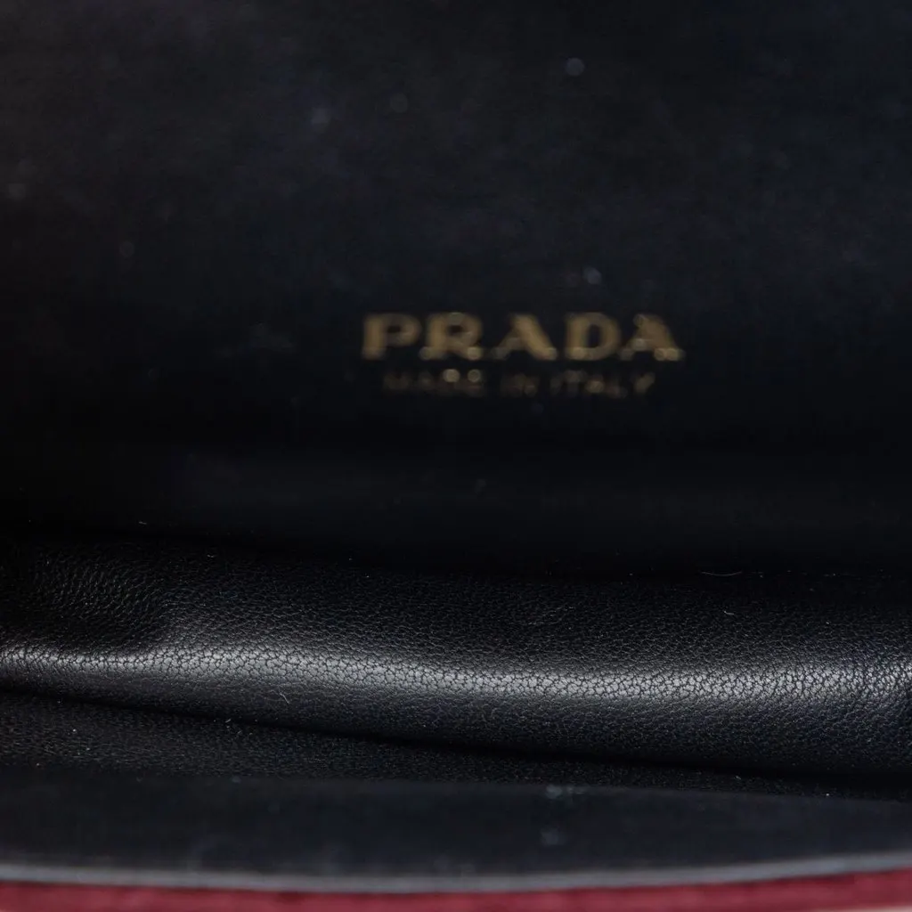 Prada Micro Croc Embossed Leather Trimmed Velluto Cahier Crossbody Red Very good - Model View