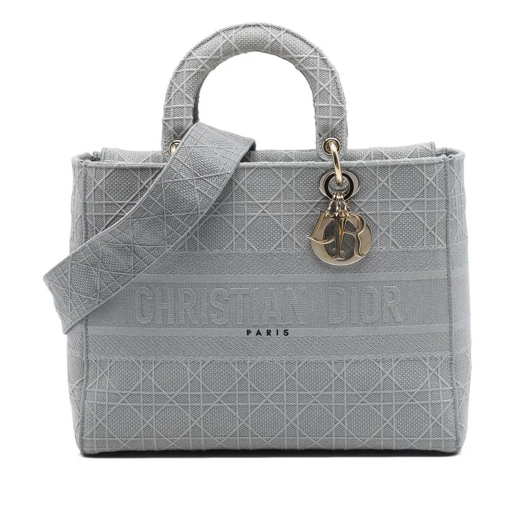 Dior Large Embroidered Canvas Cannage Lady D Lite MultiColor Very good - Front View