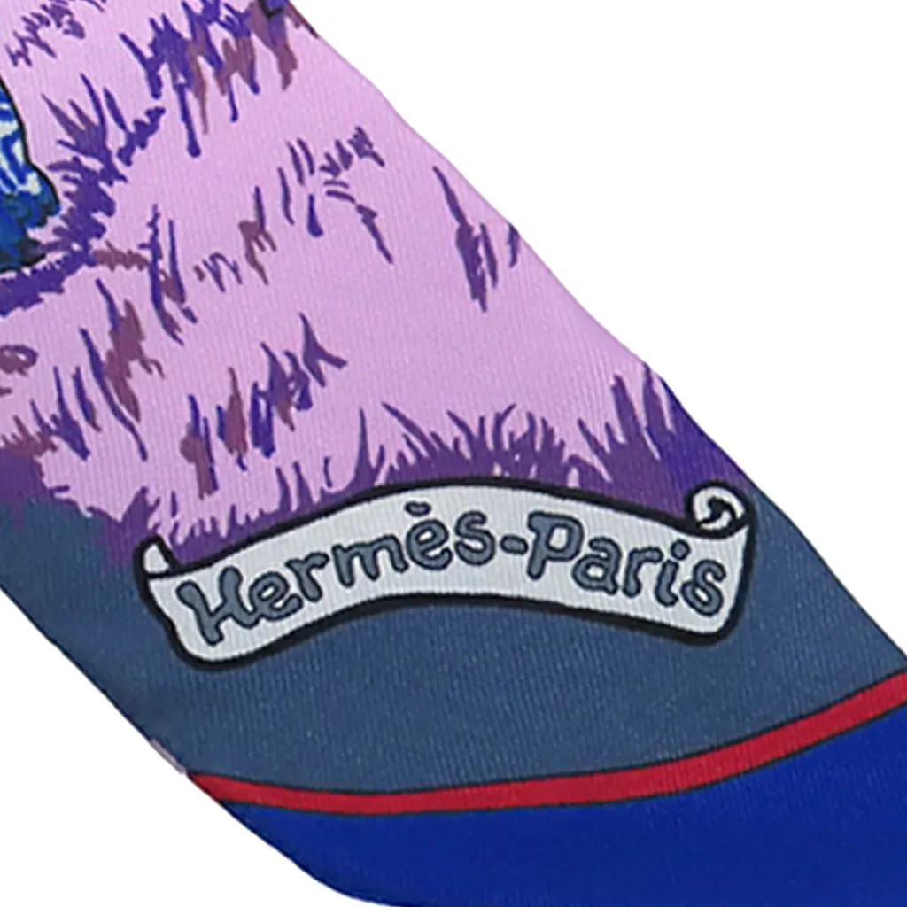 Hermès Les Zebres Silk Twilly Scarf Blue Very good - Box View