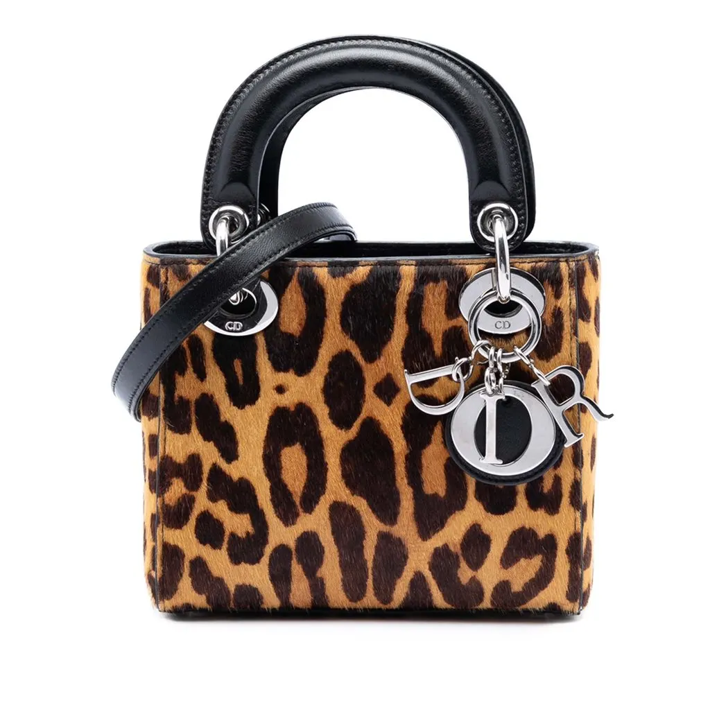 Dior Mini Pony Hair Leopard Print Lady Dior Brown Very good - Front View