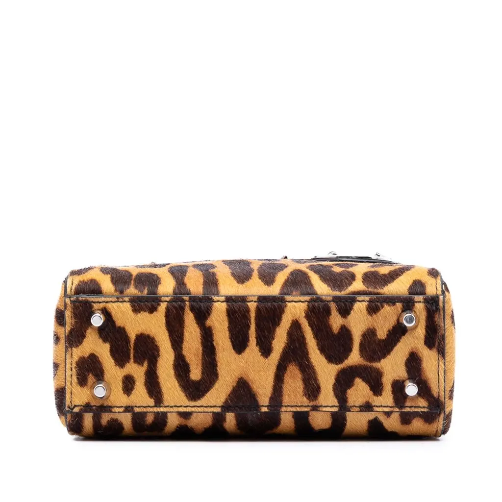 Dior Mini Pony Hair Leopard Print Lady Dior Brown Very good - Inside View