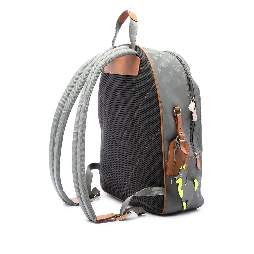 Louis Vuitton Monogram Titanium Backpack PM Grey Canvas Very good - Back View