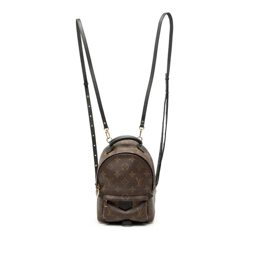 Louis Vuitton Monogram Mini Palm Springs Brown Very good - Front View