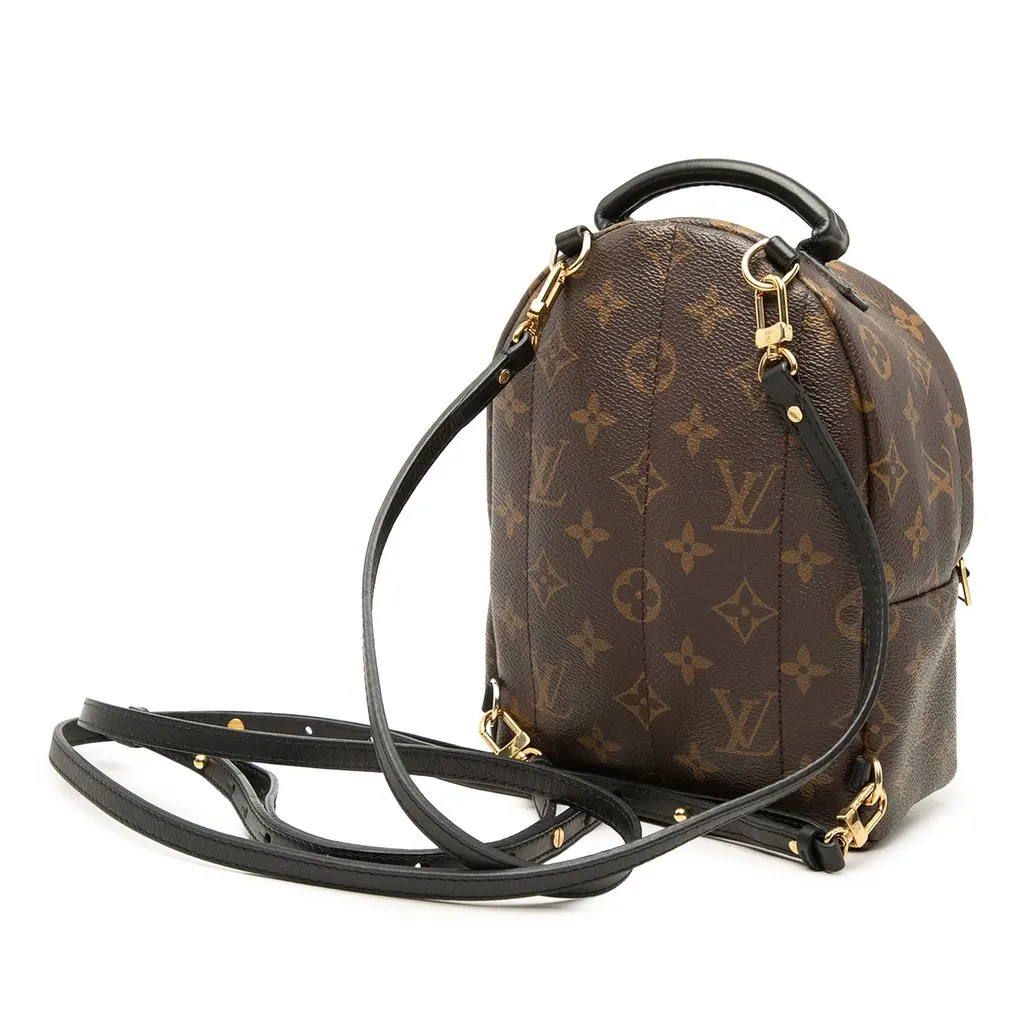 Louis Vuitton Monogram Mini Palm Springs Brown Very good - Back View