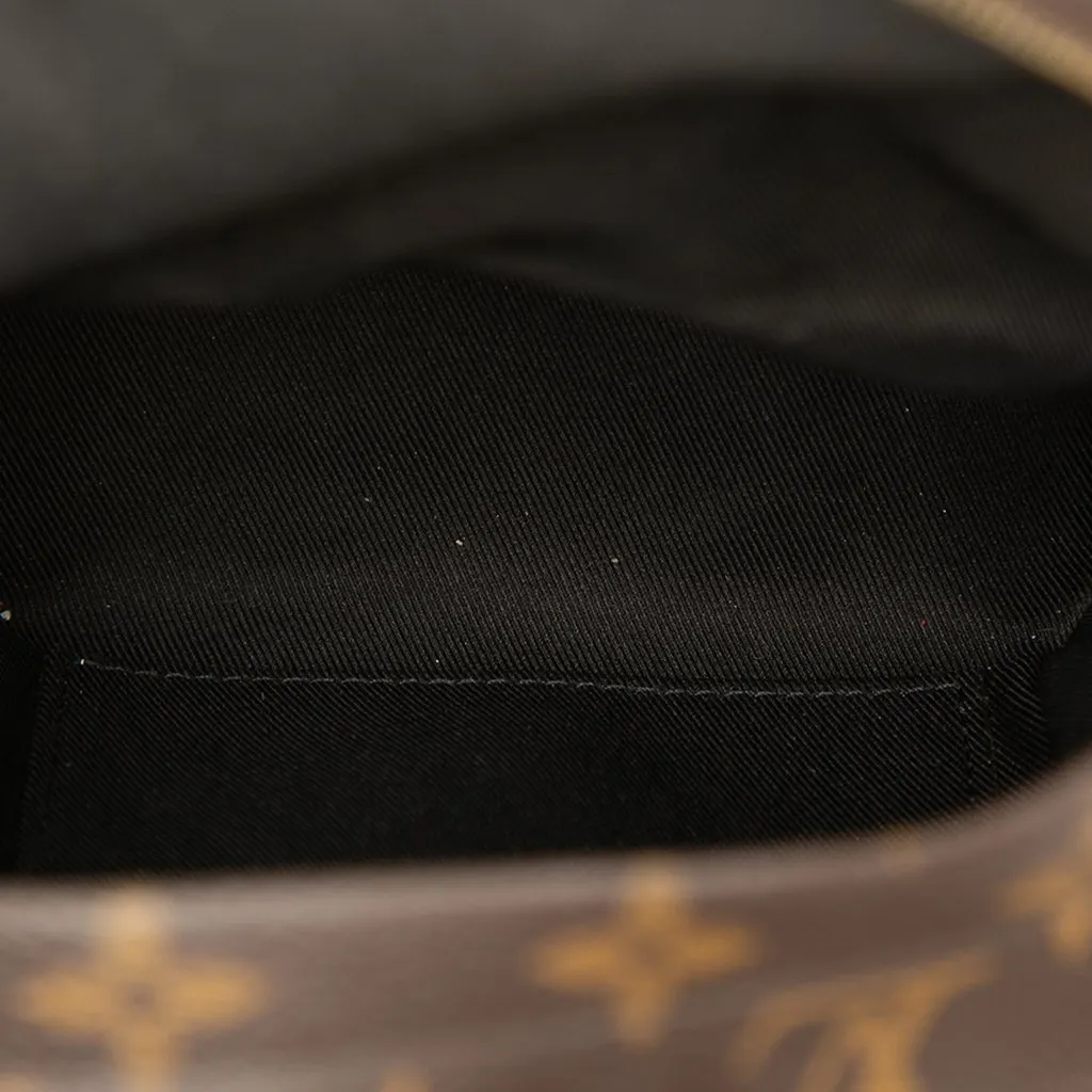 Louis Vuitton Monogram Mini Palm Springs Brown Very good - Model View