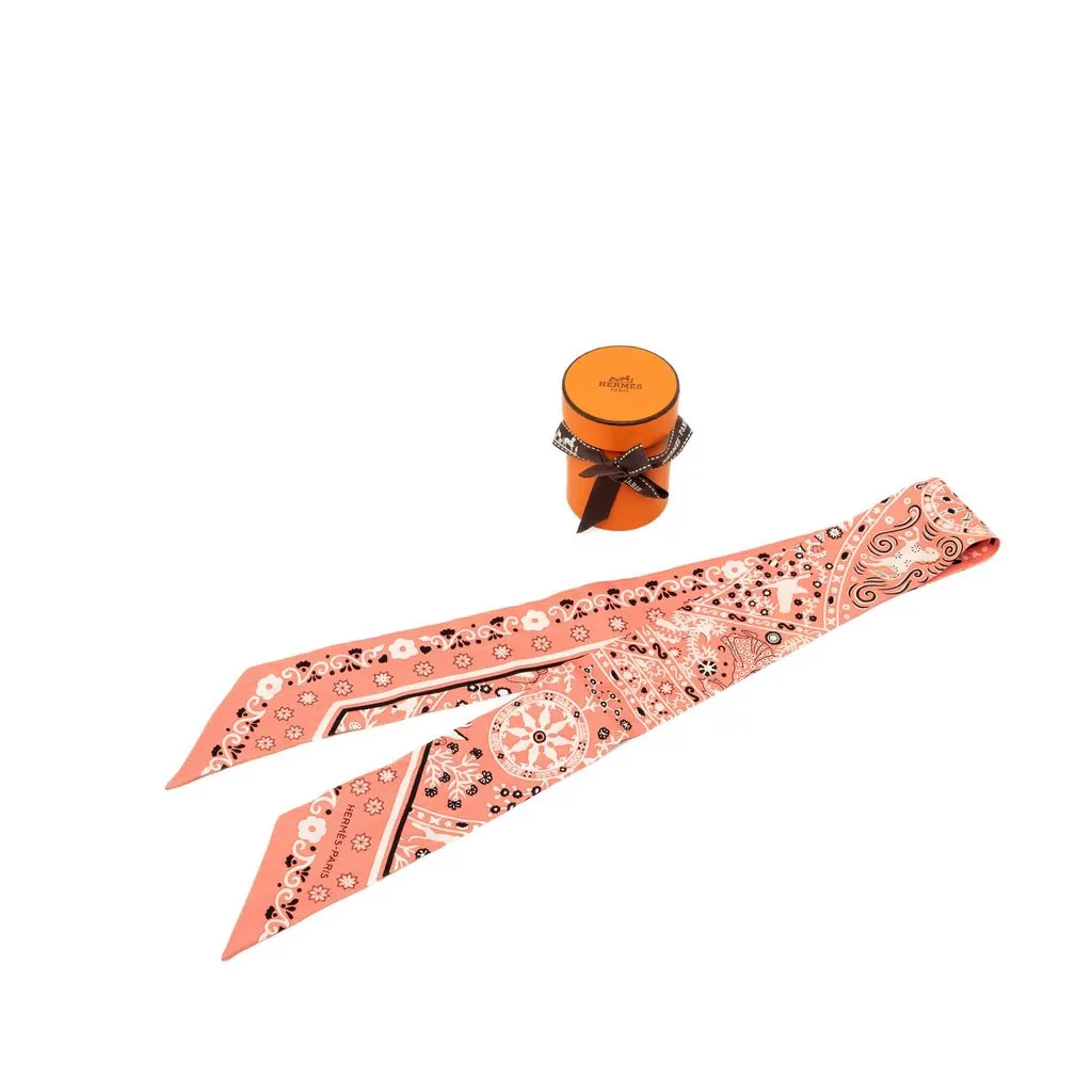 Hermès Peuple du Vent Bandana Twilly Silk Scarf Pink Very good - Box View
