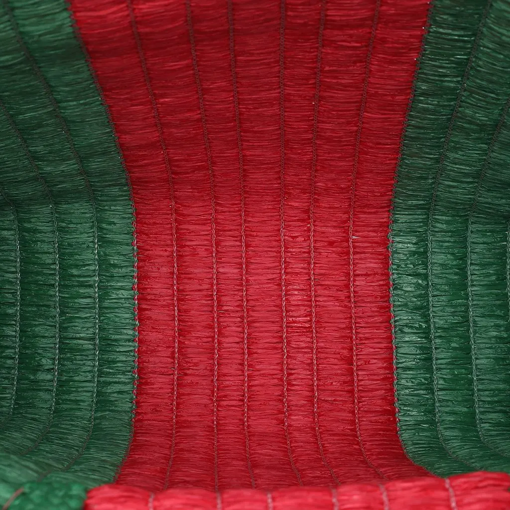 Gucci Raffia Web Cestino Tote Green Very good - Model View