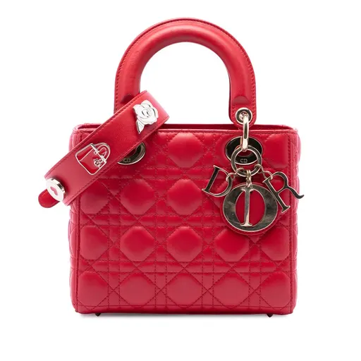 Dior Small Lambskin Cannage My ABCDior Lady Dior