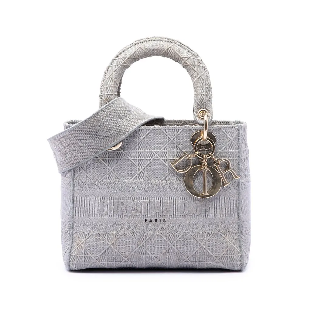 Dior Medium Canvas Cannage Lady D Lite MultiColor Very good - Front View