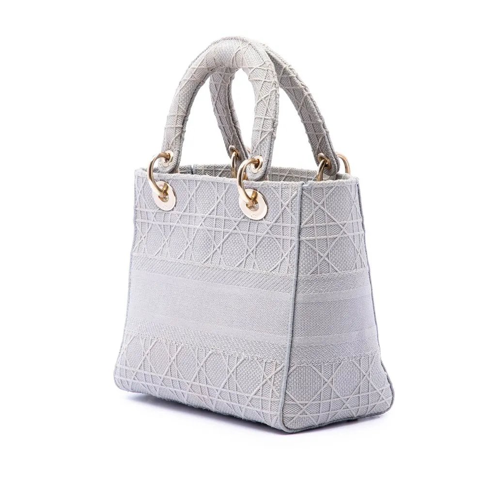 Dior Medium Canvas Cannage Lady D Lite MultiColor Very good - Back View