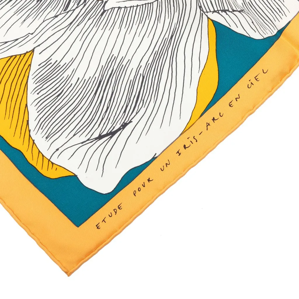 Hermès Etude Pour Un Iris Arc En Ciel Silk Scarf 90 Orange Silk Very good - Box View