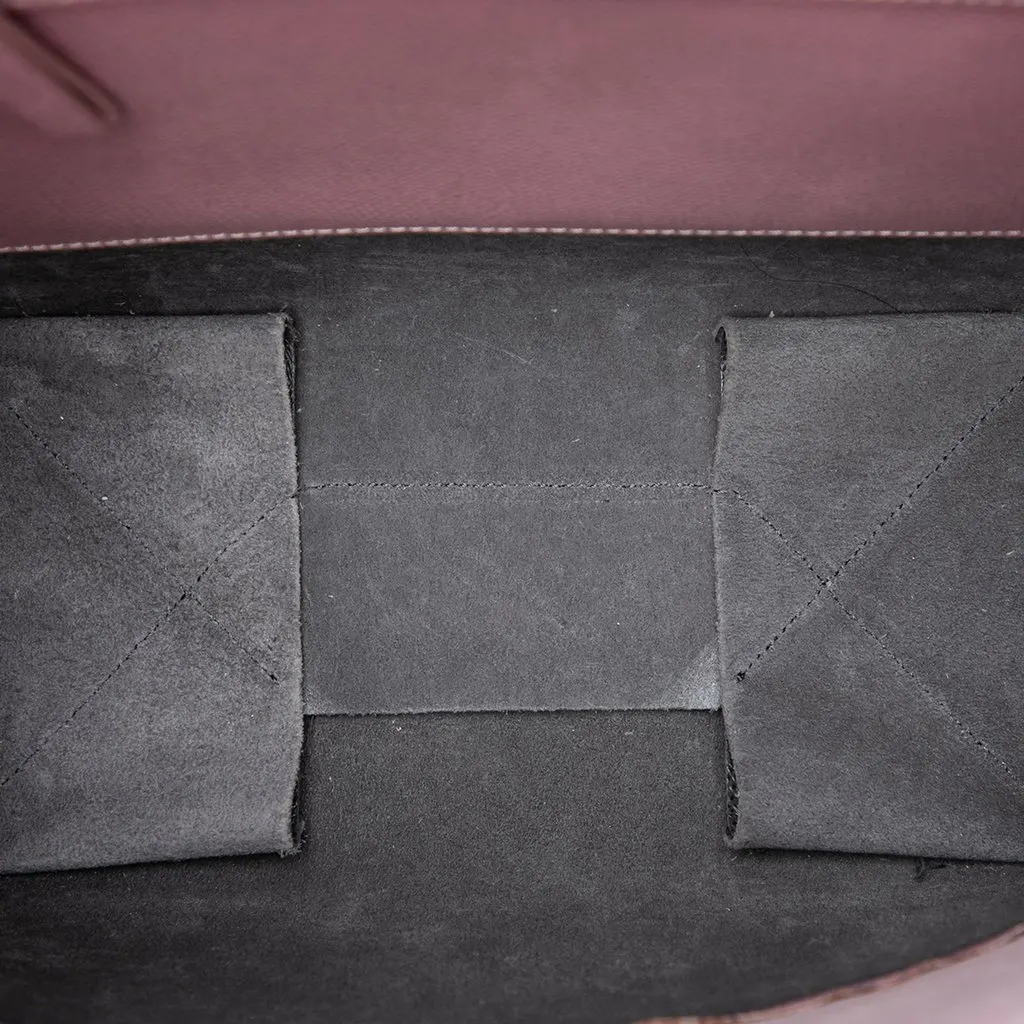 Celine Small Bicolor Grained Calfskin Vertical Cabas Tote Pink Leather Very good - Model View