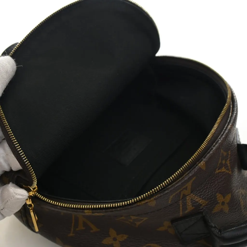 Louis Vuitton Monogram Mini Palm Springs Brown Very good - Model View