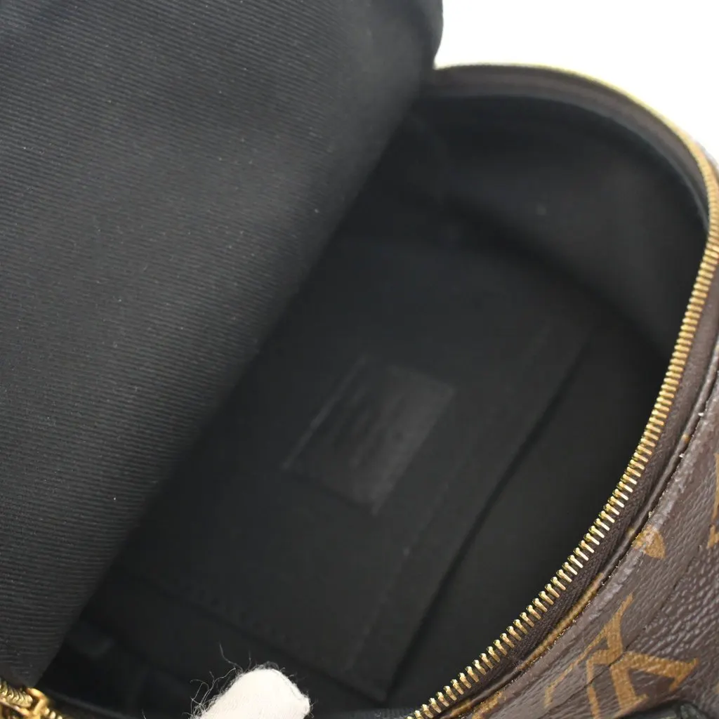 Louis Vuitton Monogram Mini Palm Springs Brown Very good - Box View