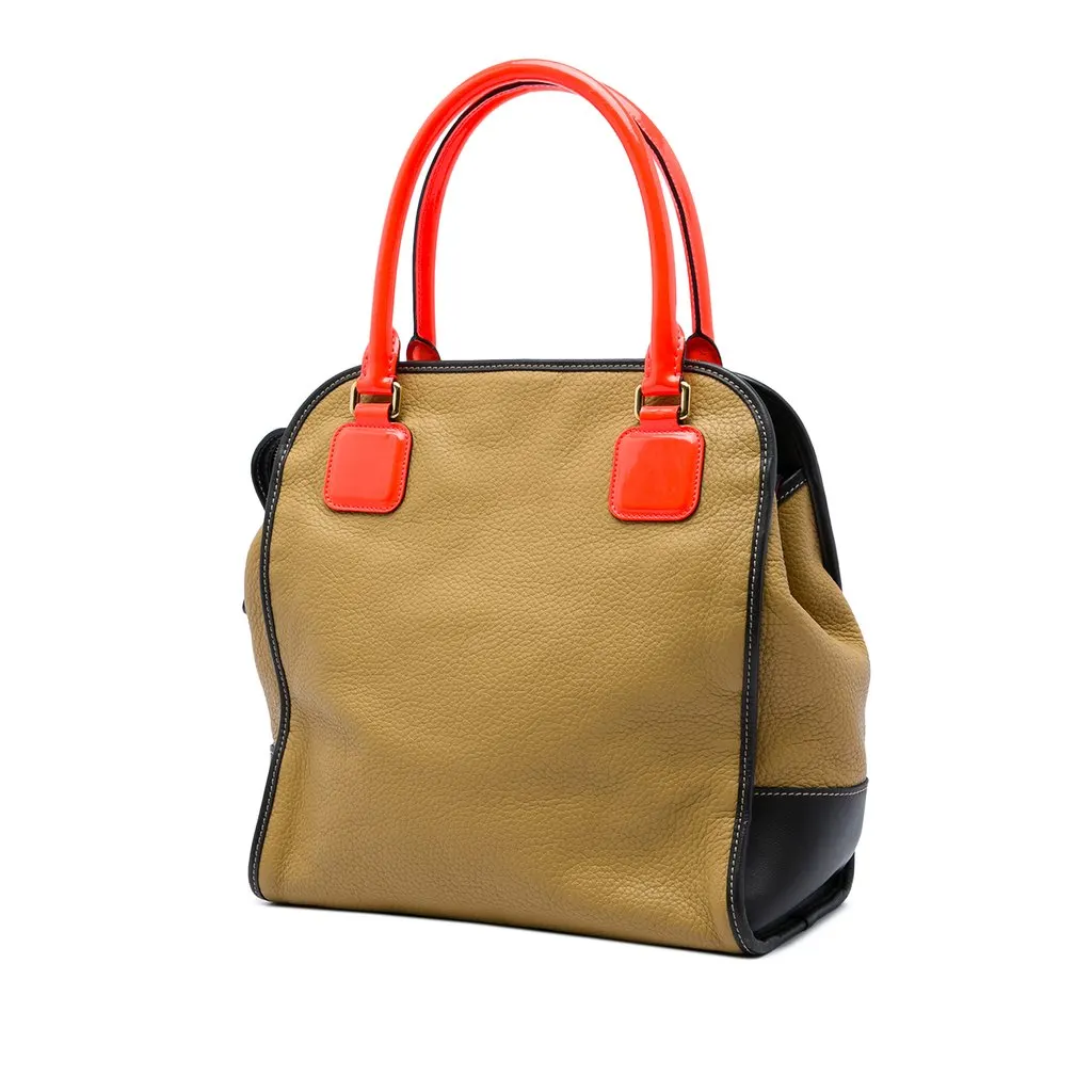 LOEWE Tricolor Leather Anagram Oro Handbag Brown Leather Very good - Back View