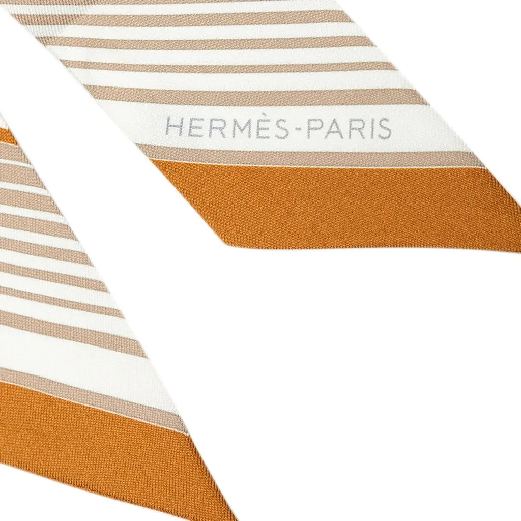 Hermès Ex Libris Silk Twilly Scarf Brown Silk Good - Box View