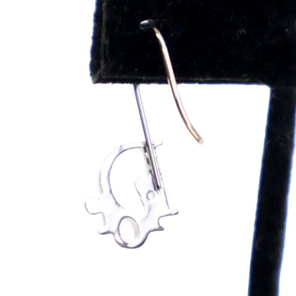 Dior Palladium Plated Logo Drop Earrings Silver Brass Very good - Box View
