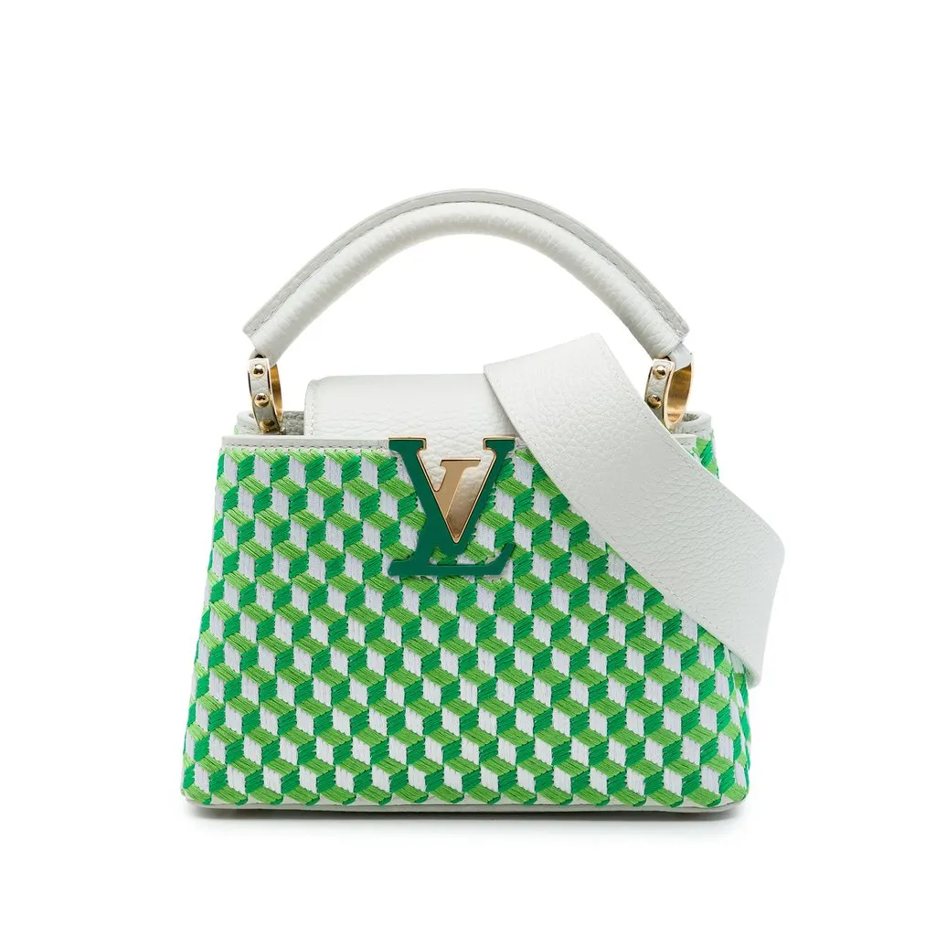 Louis Vuitton Embroidered Taurillon Mini Capucines White Leather Very good - Front View