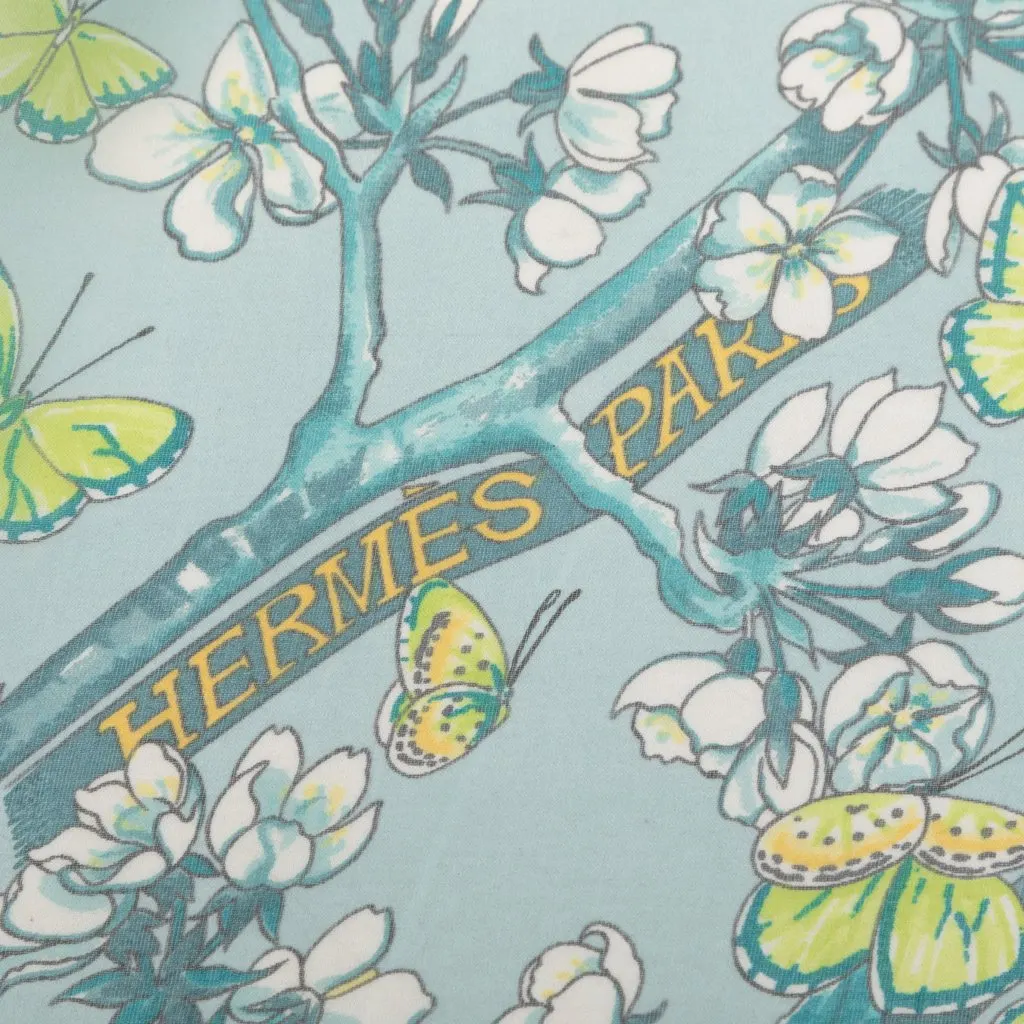 Hermès Vol Amoureux des Azures Silk Scarf 90 Blue Never worn - Box View