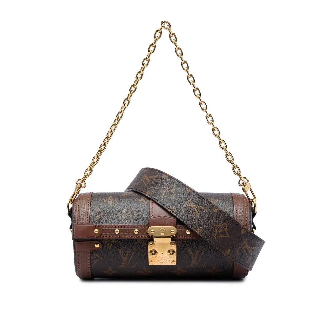 Louis Vuitton Monogram Papillon Trunk Brown Canvas Very good - Front View