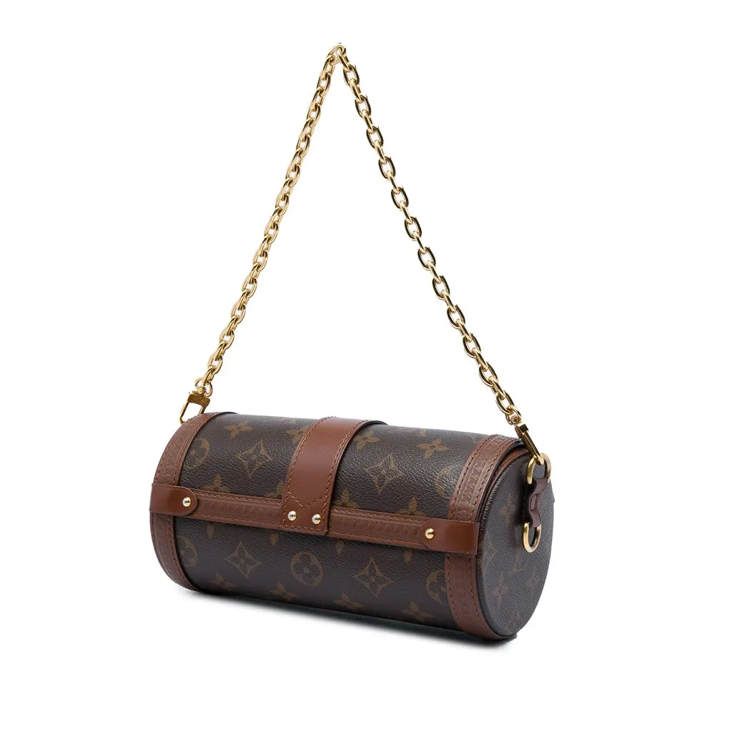 Louis Vuitton Monogram Papillon Trunk Brown Canvas Very good - Back View