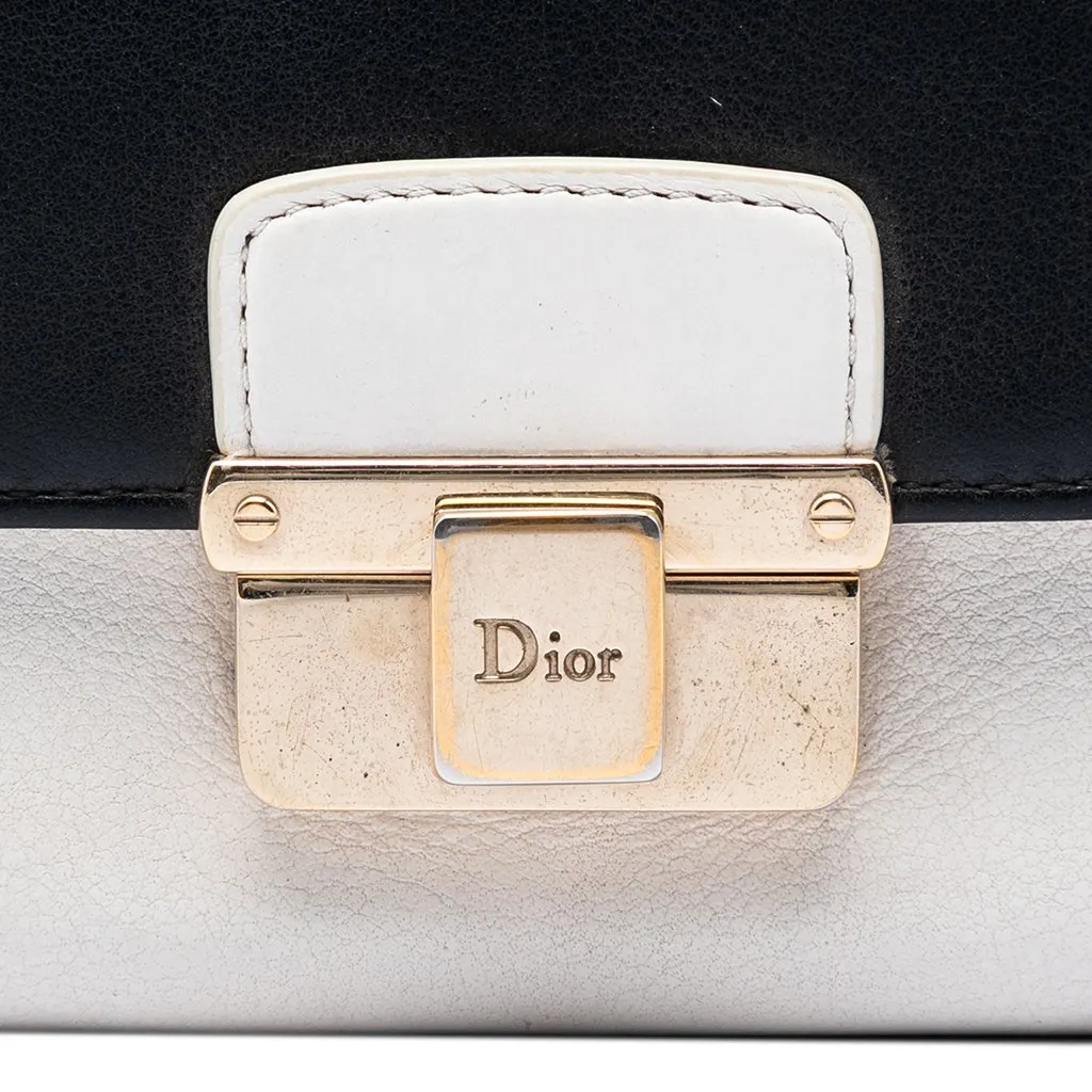 Dior Bicolor Calfskin Diorling Wallet on Chain White Leather Very good - Box View