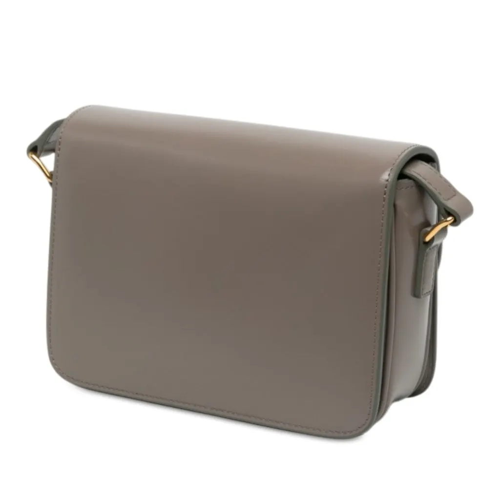 Celine Teen Shiny Calfskin Triomphe Crossbody Brown Leather Never worn - Back View