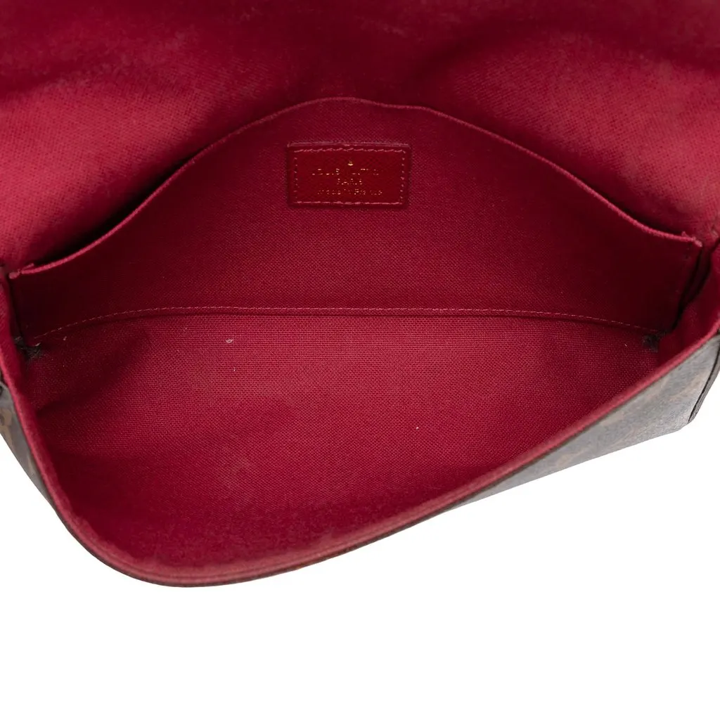 Louis Vuitton Monogram Pochette Felicie Brown Canvas Good - Model View
